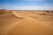  Africa, Morocco, Zagora, Sahara, Erg Lehoudi, sand dunes 