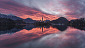  Purple clouds just before sunrise at Lake Bled with view of St. Mary&#39;s Church in Bled, Slovenia, Europe. 