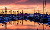 Hafen von Port de Pollenca bei Sonnenaufgang und Morgenrot, Mallorca, Spanien