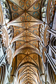 Vaulted ceiling roof inside cathedral church, Salisbury, Wiltshire, England, UK
