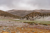 North Africa, Morocco, North, Landscape in snowfall 