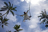  Woman on Bali swing and coconut trees on the Tegallalang rice terrace, Tegallalang, Gianyar, Bali, Indonesia 