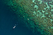  Aerial view of sea kayak and people snorkeling on reef near Siete Pecados, a cluster of seven small islands, Coron, Palawan, Philippines 