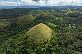 Luftaufnahme der geologischen Formation Chocolate Hills, in der Nähe von Carmen, Bohol, Philippinen, Südostasien