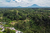  Aerial view of Tegallalang rice terrace with mountains in the distance, Tegallalang, Gianyar, Bali, Indonesia 