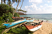 Brightly coloured fishing canoes under coconut palm trees of tropical sandy beach, Mirissa, Sri Lanka