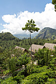 Acres Resort Luxus-Lodges, Ella, Badulla District, Uva Province, Sri Lanka, Asien Blick auf Ella Gap
