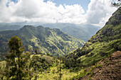 Blick auf den Ella Gap Pass, Ella, Badulla District, Provinz Uva, Sri Lanka, Asien