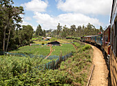 Zugfahrt durch die Landschaft in der Nähe von Pittipola, Sri Lanka, Asien