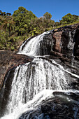 Baker's Falls Wasserfall, Horton Plains Nationalpark, Zentralprovinz, Sri Lanka, Asien