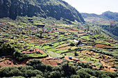 Landschaft der intensiv bewirtschafteten Talhänge, Ramboda, in der Nähe von Nuwara Eliya, Zentralprovinz, Sri Lanka, Asien