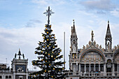  St. Mark&#39;s Square, Piazza San Marco, with Christmas tree, Basilica San Marco, Venice, Italy, Europe 