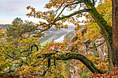  View from the Bastei viewpoint in autumn, Saxon Switzerland, Saxony, Germany 
