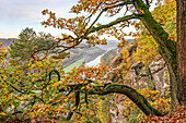 Aussicht vom Bastei Aussichtspunkt im Herbst, Sächsische Schweiz, Sachsen, Deutschland