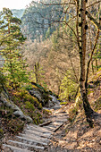  Hiking trail at the Schrammsteine, Saxon Switzerland, Saxony, Germany 