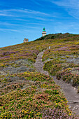 Cap Fréhel, Plévenon, Côtes-d'Armor, France