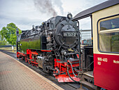 Steam locomotive Brockenbahn, Wernigerode, Harz, Harz district, Saxony-Anhalt, Germany, Europe 