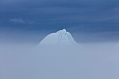 Eisberg im Kaeltenebel, Kangia Eisfjord, UNESCO Weltnaturerbe, Disko-Bucht, West-Groenland, Grönland