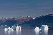  Icebergs, Uummannaqfjord, North Greenland, Greenland 