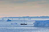  Tourist boat in front of icebergs, Kangia Icefjord, Disko Bay, UNESCO World Heritage Site, West Greenland, Greenland 