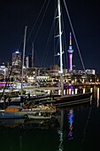  Boats in Viaduct Basin with bars and illuminated Sky Tower at night, Auckland, North Island, New Zealand 