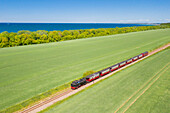  Narrow gauge railway Molli runs on the Baltic Sea between Bad Doberan and Kuehlungsborn, Mecklenburg-Vorpommern, Germany 