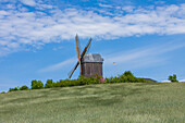 Bockwindmühle in Pudagla, Insel Usedom, Ostsee, Mecklenburg-Vorpommern, Deutschland