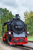  Rasender Roland, steam locomotive, narrow-gauge railway, Ruegen Island, Mecklenburg-Western Pomerania, Germany 