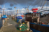  Fishing boats in the fishing port of Sassnitz, Ruegen Island, Mecklenburg-Western Pomerania, Germany 