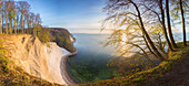 Morgenstimmung an den Kreidefelsen, Nationalpark Jasmund, Insel Rügen, Mecklenburg-Vorpommern, Deutschland