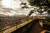 Stadtzentrum von oben gesehen, mittelalterliche Stadt Lucca, Toskana, Italien
