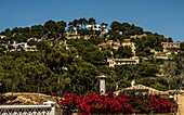 Blick auf Villen am Küstenhang an der Costa de la Calma, Santa Ponca, Santa Ponsa, Mallorca, Spanien