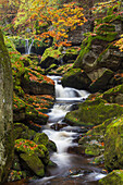  Grosse Ohe flows through the valley of the Steinklamm, Bavarian Forest, Bavaria, Germany 