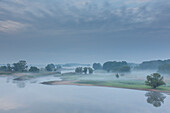  Morning mist over the Elbe, Elbe River Landscape Biosphere Reserve, Lower Saxony, Germany 