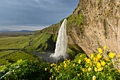  Seljalandsfoss, 66m high waterfall, summer, Iceland 