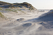  Sandstorm in the dunes, Wadden Sea National Park, Schleswig-Holstein, Germany 