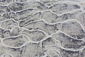  Sand structures in the mudflats, Wadden Sea National Park, Schleswig-Holstein, Germany 
