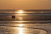  Sailing boat in the Wadden Sea, Wadden Sea National Park, Pellworm Island, North Friesland, Schleswig-Holstein, Germany 