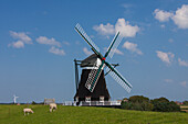  Windmill, Pellworm Island, North Frisia, Schleswig-Holstein, Germany 