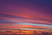  Clouds in the evening light, Eiderstedt, North Frisia, Wadden Sea National Park, Schleswig-Holstein, Germany 