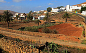 Farmland and houses in the village of Toto, Pajara, Fuerteventura, Canary Islands, Spain