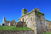 Historische Ruinen des Timoleague Friary, County Cork, Irland, Republik Irland