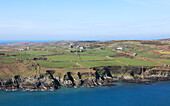 Headland on South Harbour, Cape Clear Island, County Cork, Ireland, Irish Republic