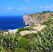 Blick von der Küstenlandschaft auf den Klippen von Ta'Cenc nach Westen, Insel Gozo, Malta