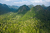 Luftaufnahme des Cat Ba Nationalparks auf der Insel Cat Ba vom Gipfel des Ngu Lam aus gesehen, Lan Ha Bay, Haiphong, Nordvietnam, Vietnam, Asien