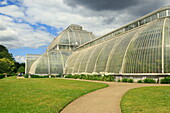 The Palm House at Royal Botanic Gardens, Kew, London, England, UK