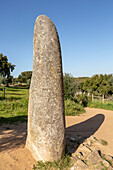 Neolithic standing stone 4 metres high called the Menir dos Almendres, near Evora, Alentejo, Portugal, Southern Europe