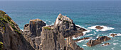 Felsige zerklüftete Küste in der Nähe von Azenha do Mar, Alentejo Littoral, Portugal, Südeuropa mit Weißstörchen (Ciconia ciconia), die auf Klippen nisten