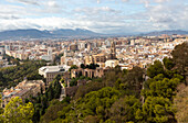 Cityscape view over city centre high density buildings, Malaga, Andalusia, Spain - cathedral church in centre