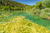 Der Fluss Krka im Nationalpark Krka, Kroatien, Europa 